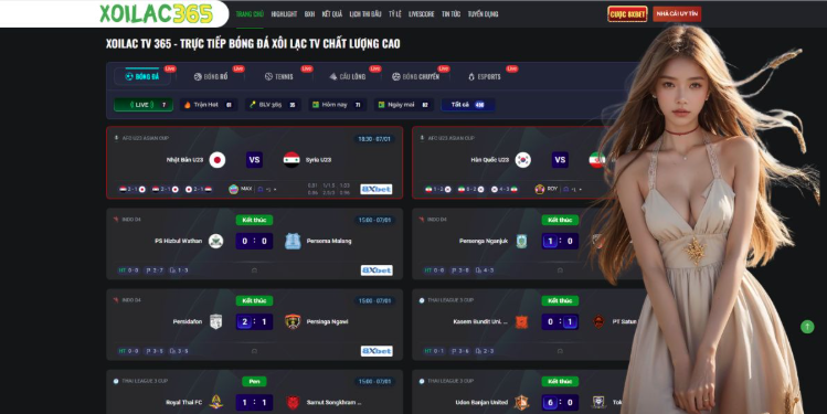 The Emergence of Premium Digital Streaming Hubs